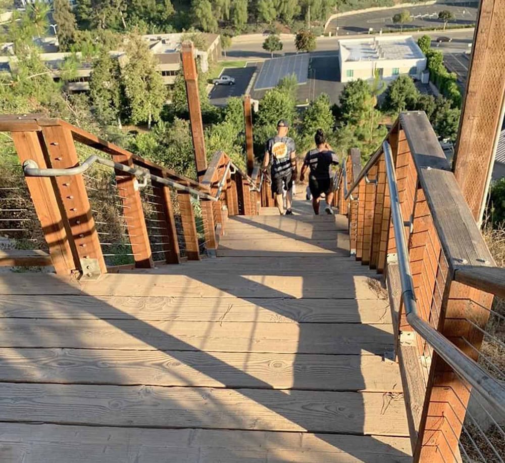 1. Elevated wooden staircase leading down through a lush green urban landscape.