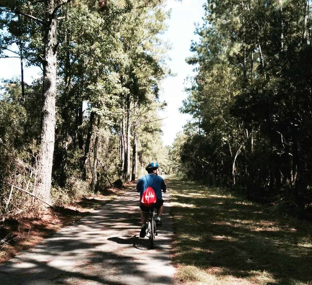 Serene forest biking trail in a lush woodland, perfect for outdoor adventure and exploration.
