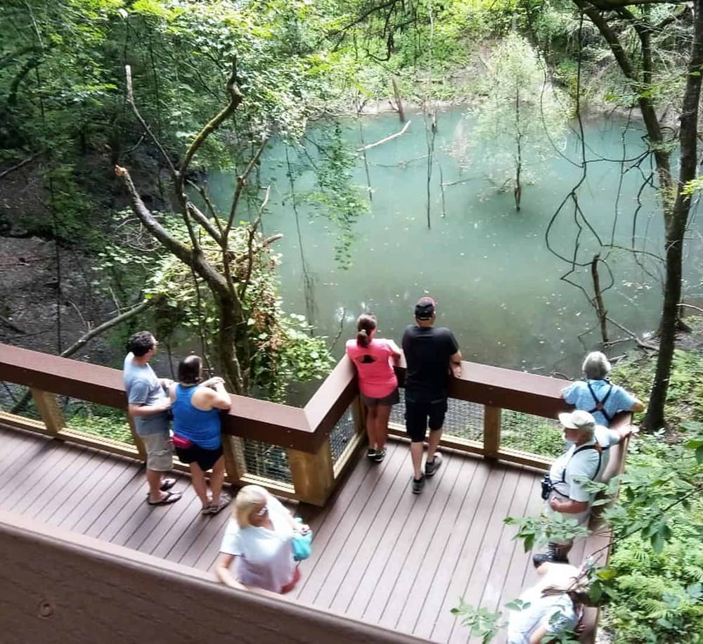 Serene pond surrounded by lush greenery, with visitors enjoying a peaceful nature walk on a wooden observation deck.