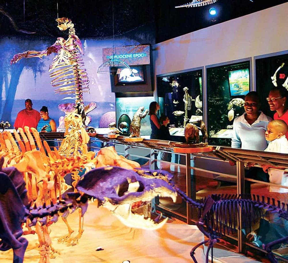 Dinosaurs exhibit at Quest For Directions, showcasing fossils and skeletons from the Paleozoic era.