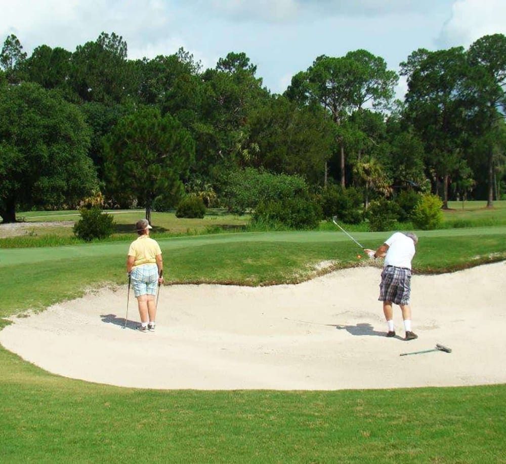 - Golf players hitting from a sand trap on a lush golf course in a sunny outdoor setting.