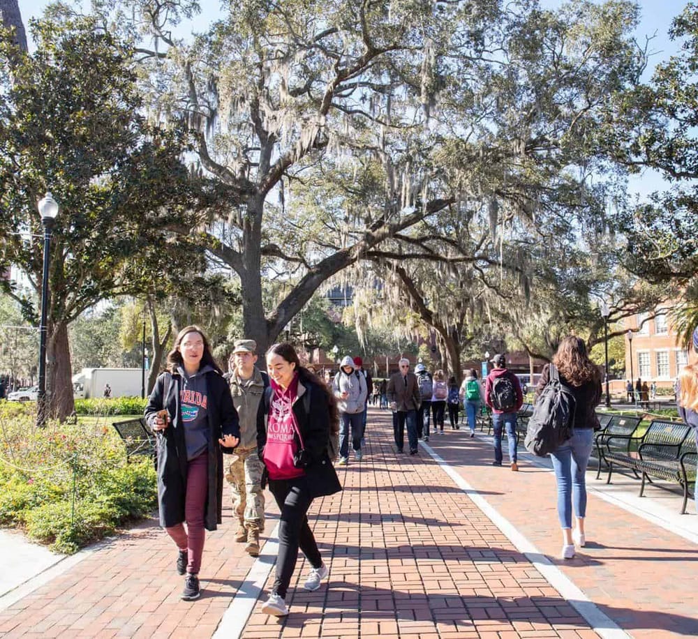 Beautiful campus walkway lined with trees and students walking during the day.
