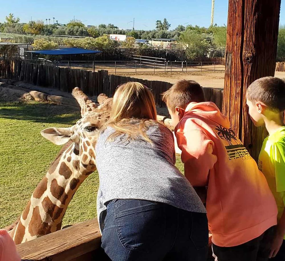 Giraffe feeding experience at QuestForDirections animal park with children viewing wildlife up close.