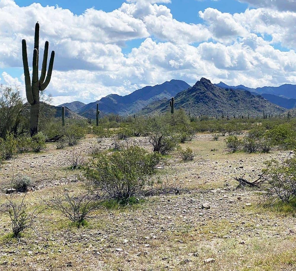1. Vast Arizona desert landscape with saguaro cacti and distant mountain ranges under a partly cloudy sky.