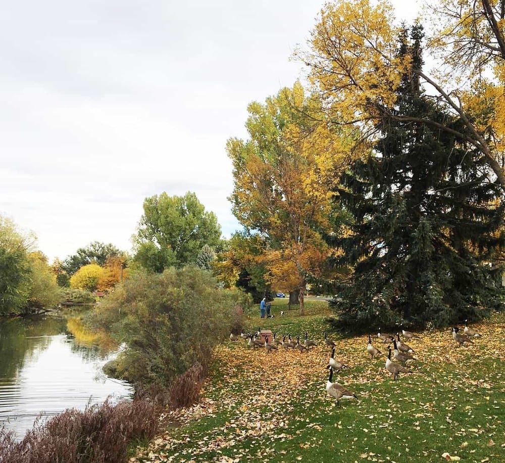 Colorful autumn park with ducks by a serene river, perfect for nature and outdoor activities.