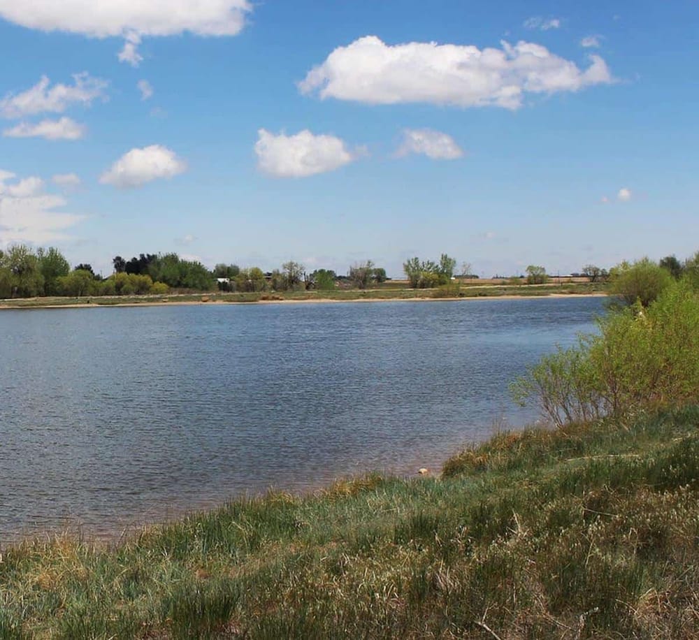 Serene lake with lush greenery and blue sky, perfect for outdoor adventures and nature exploration.