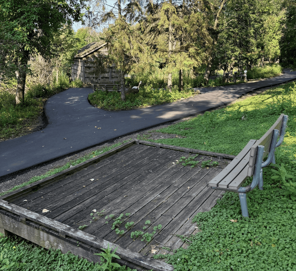 Pathway in a park surrounded by trees and greenery with benches for relaxation.