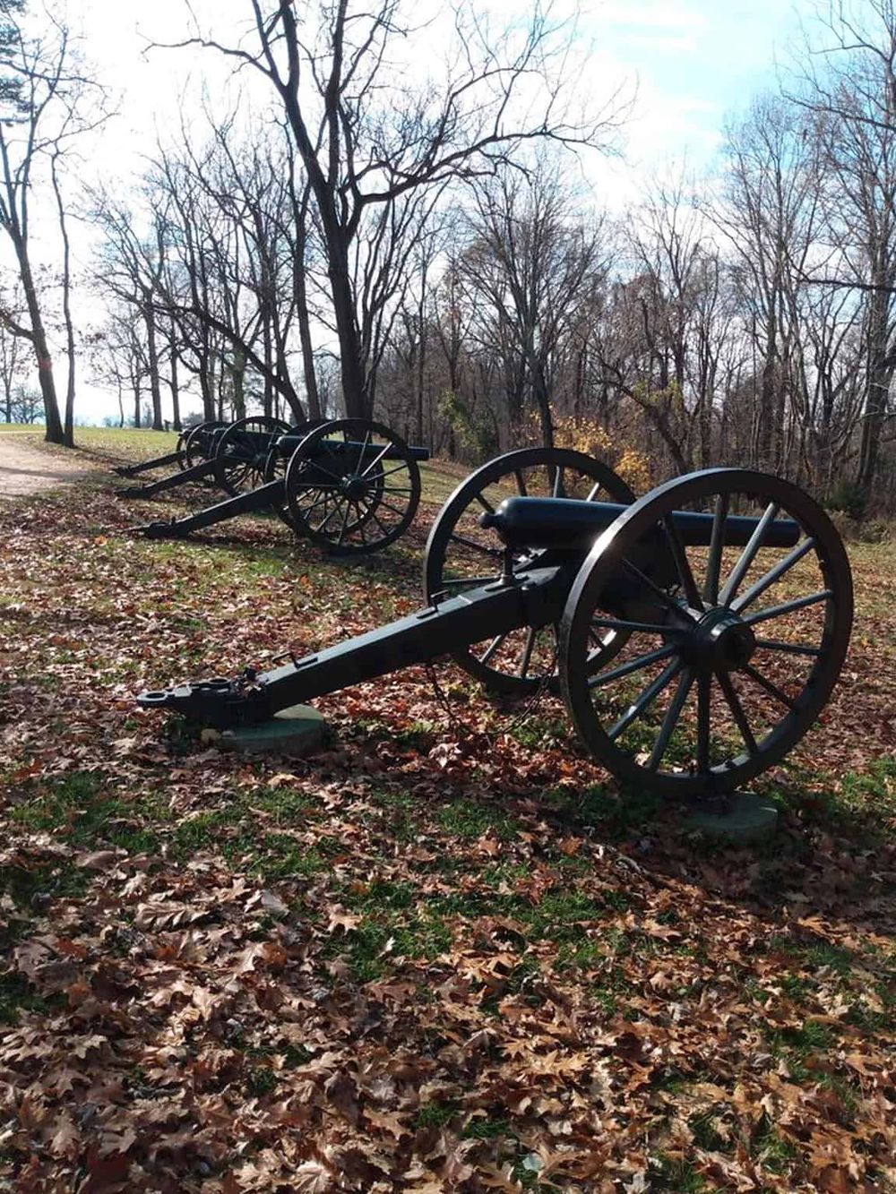 Rustic cannons on display in a historic outdoor park with fallen autumn leaves and leafless trees, showcasing American history and heritage.