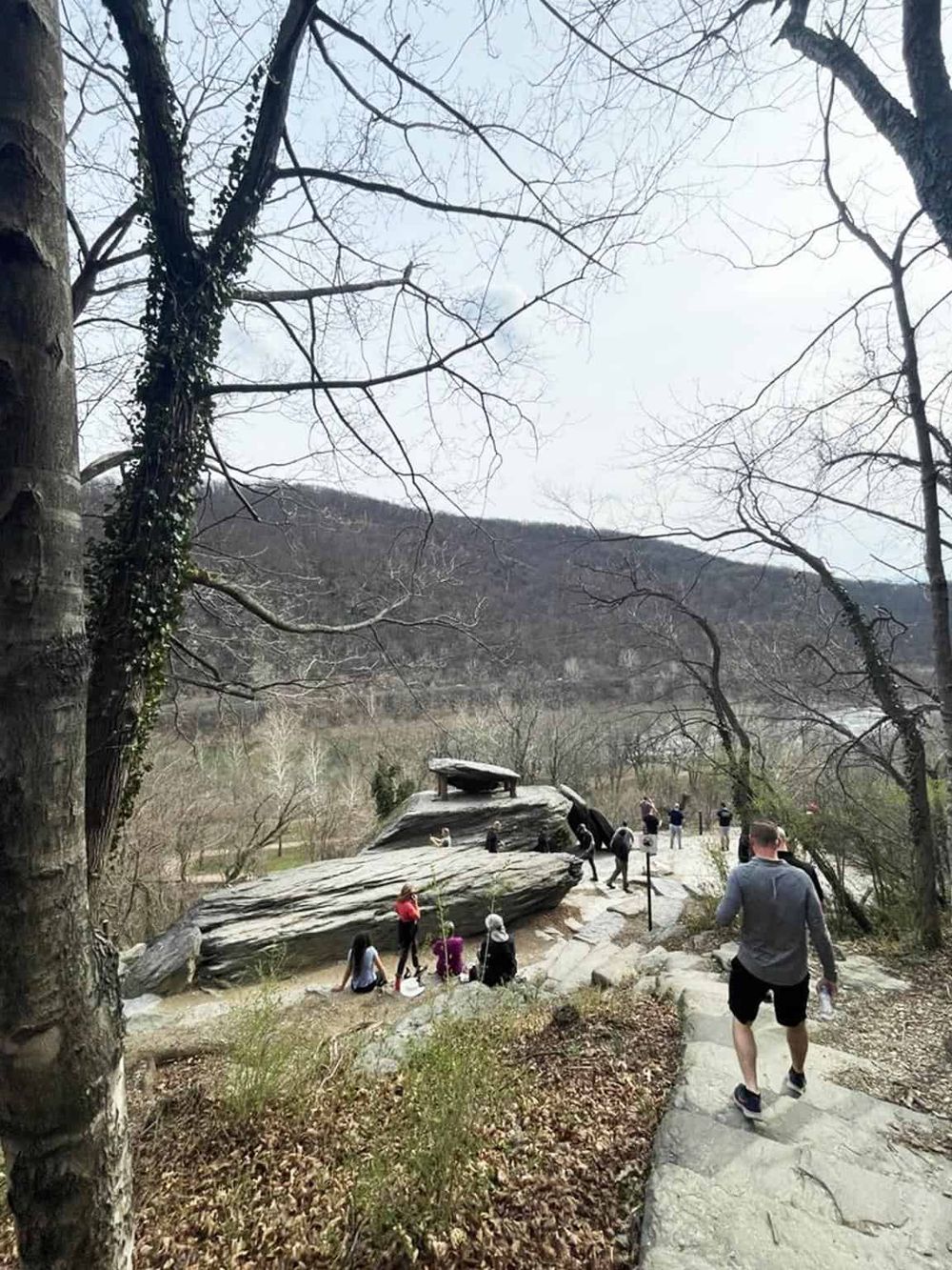 Vibrant Appalachian trail scenic view with hikers, nature, outdoor adventure, and picturesque landscape.