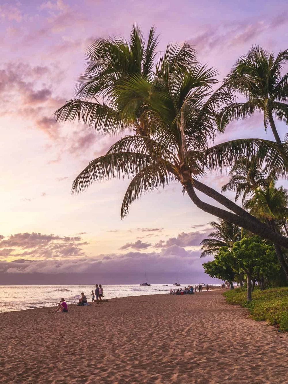 Palm trees at sunset on a tropical beach, perfect for travel and vacation ideas.