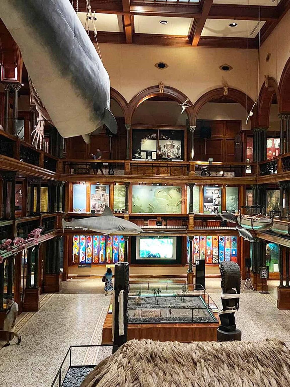 Whale and shark exhibits at Quest for Directions museum, showcasing marine life displays and interactive educational models.