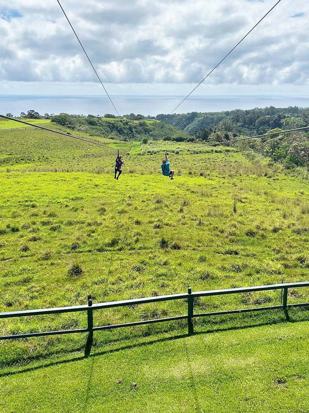 Thrilling zip line adventure over lush green fields with scenic ocean view in the background.