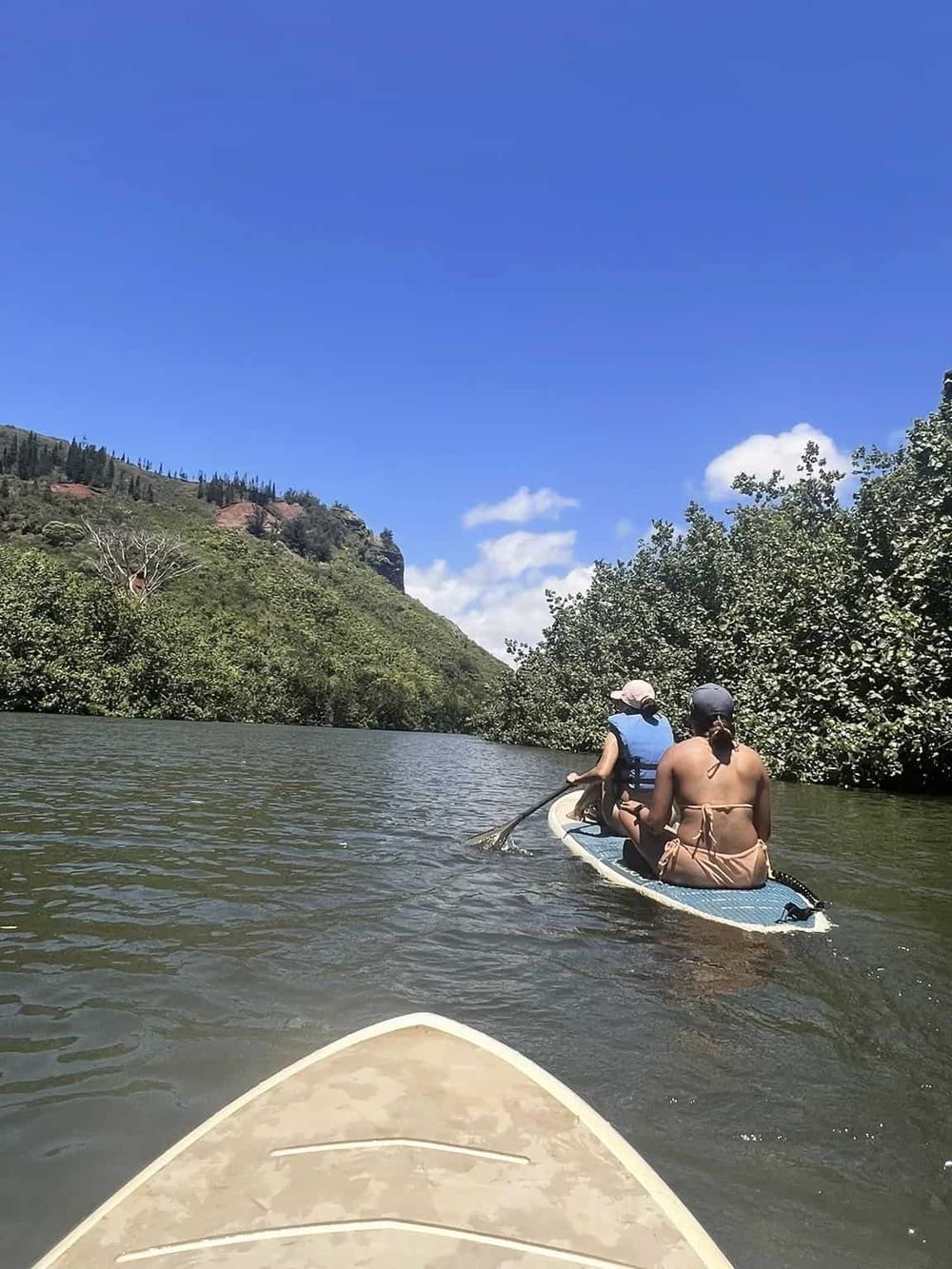 Tranquil river kayaking adventure with lush greenery, vibrant blue sky, and mountain backdrop.
