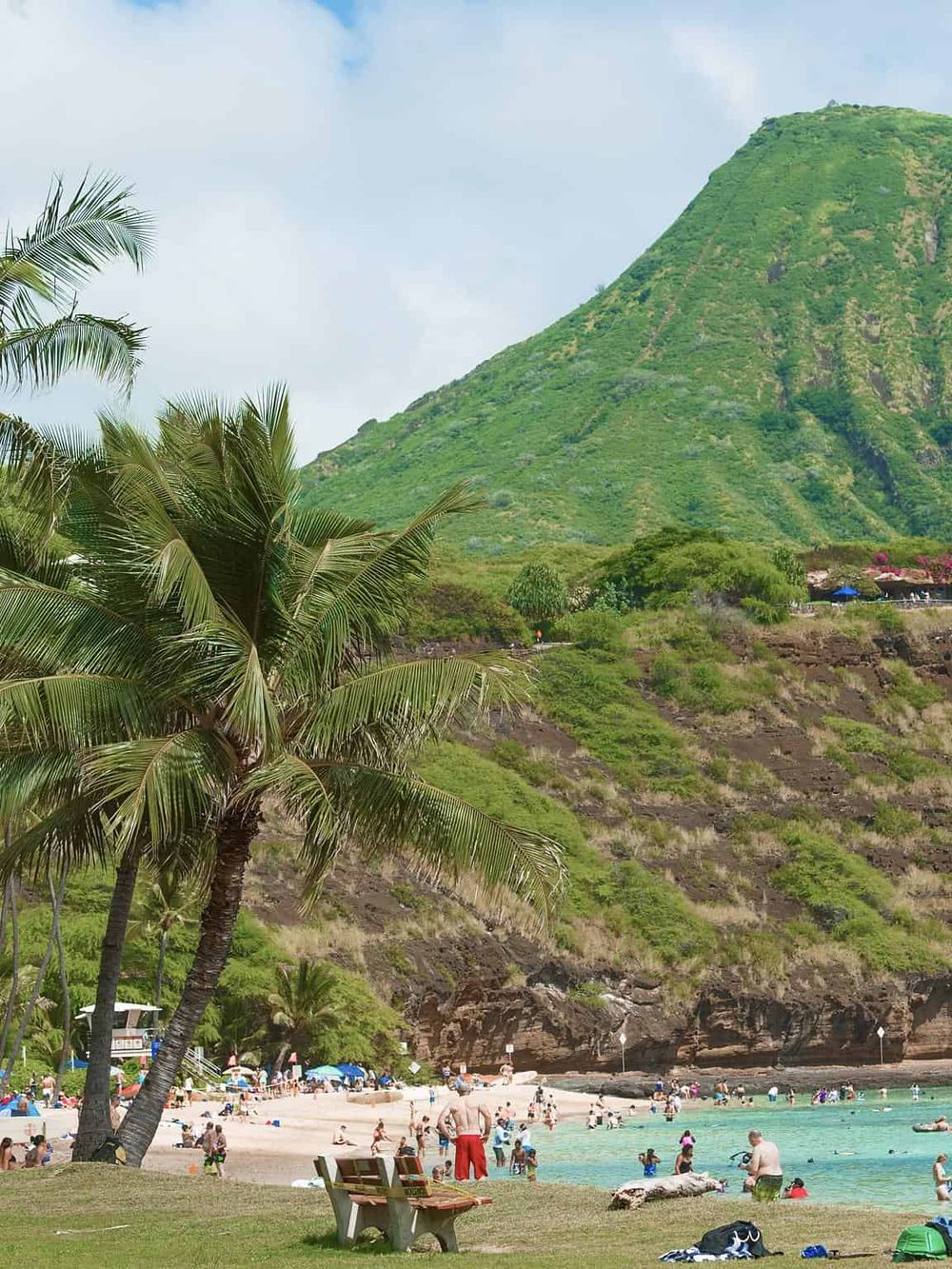 Tropical beach with palm trees, green mountain, and people relaxing in Hawaii.