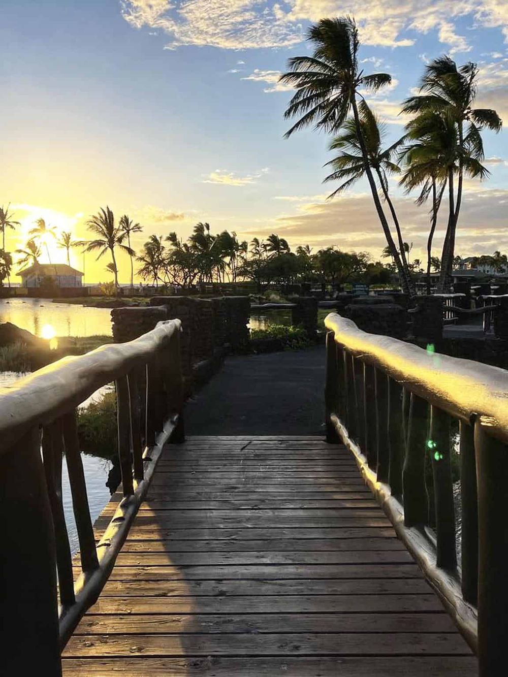 Relaxing tropical sunset scene at Quest For Directions with wooden bridge and lush palm trees.