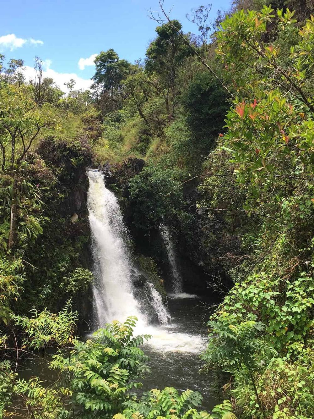 Serene waterfall in lush jungle landscape with vibrant green foliage and flowing water.