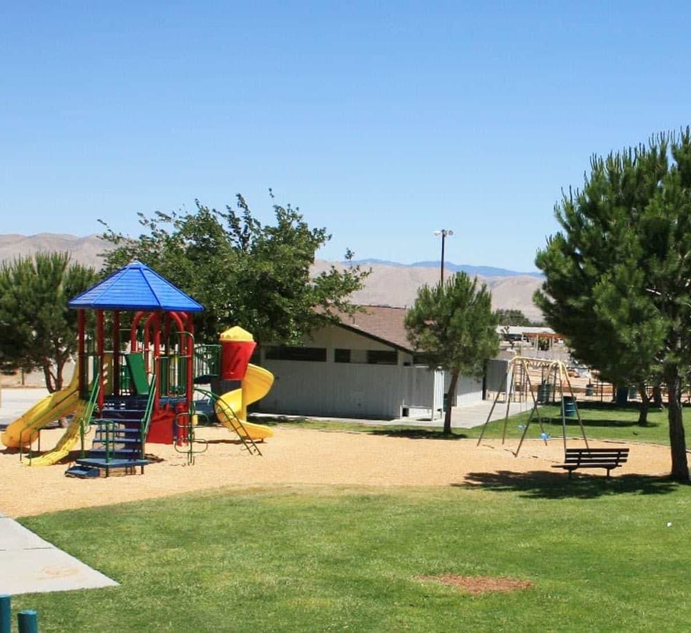 Colorful outdoor playground area with slides, swings, and trees in a park setting.