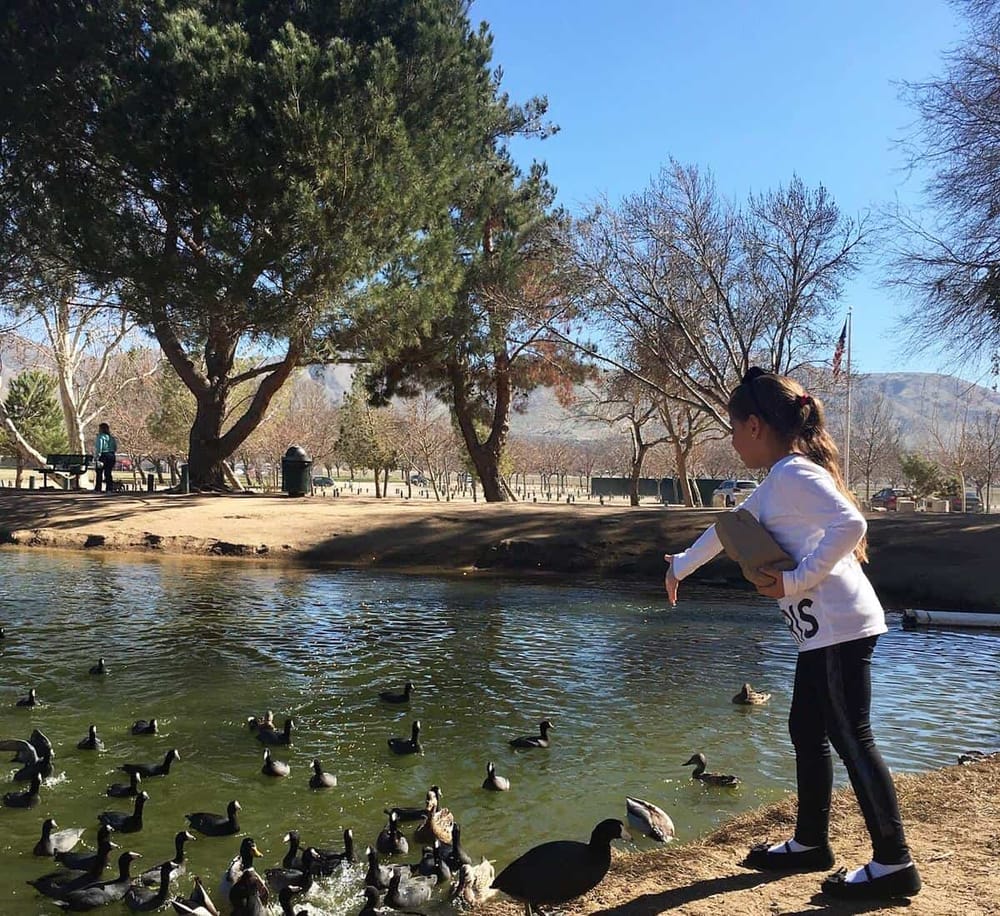 1. Girl feeding ducks at a park pond, scenic outdoor setting with trees and mountains.