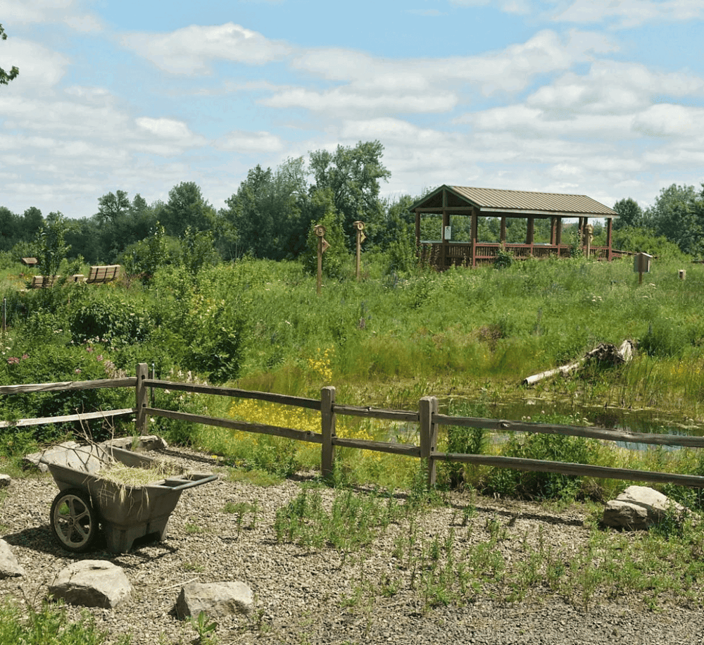 - Serene outdoor nature trail with wooden pavilion and lush greenery.