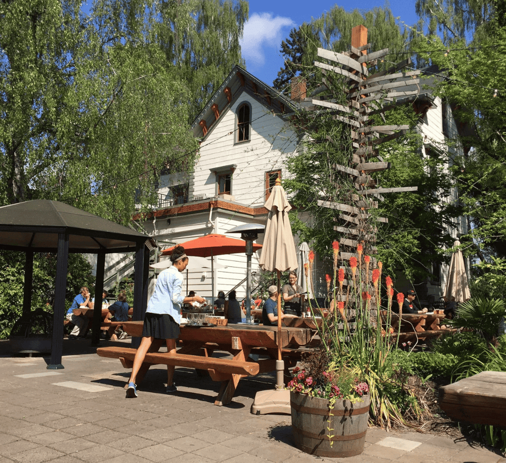 Charming outdoor dining area at QuestForDirections, surrounded by lush greenery and cozy patio setups.