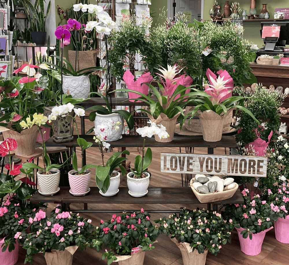 Vibrant flower display with orchids, potted plants, and decorative signage at a floral shop.