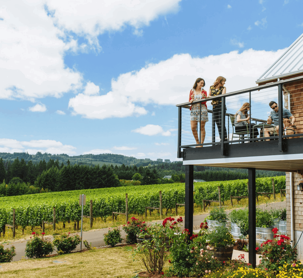 Vineyard view with friends relaxing on balcony, scenic outdoor setting, ideal for wine tasting, scenic vineyard, outdoor leisure, vineyard tour.