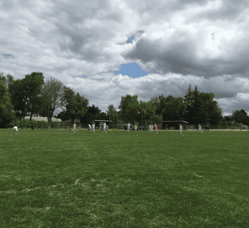 Aerial view of people playing soccer on a lush green field with trees and cloudy sky in the background.