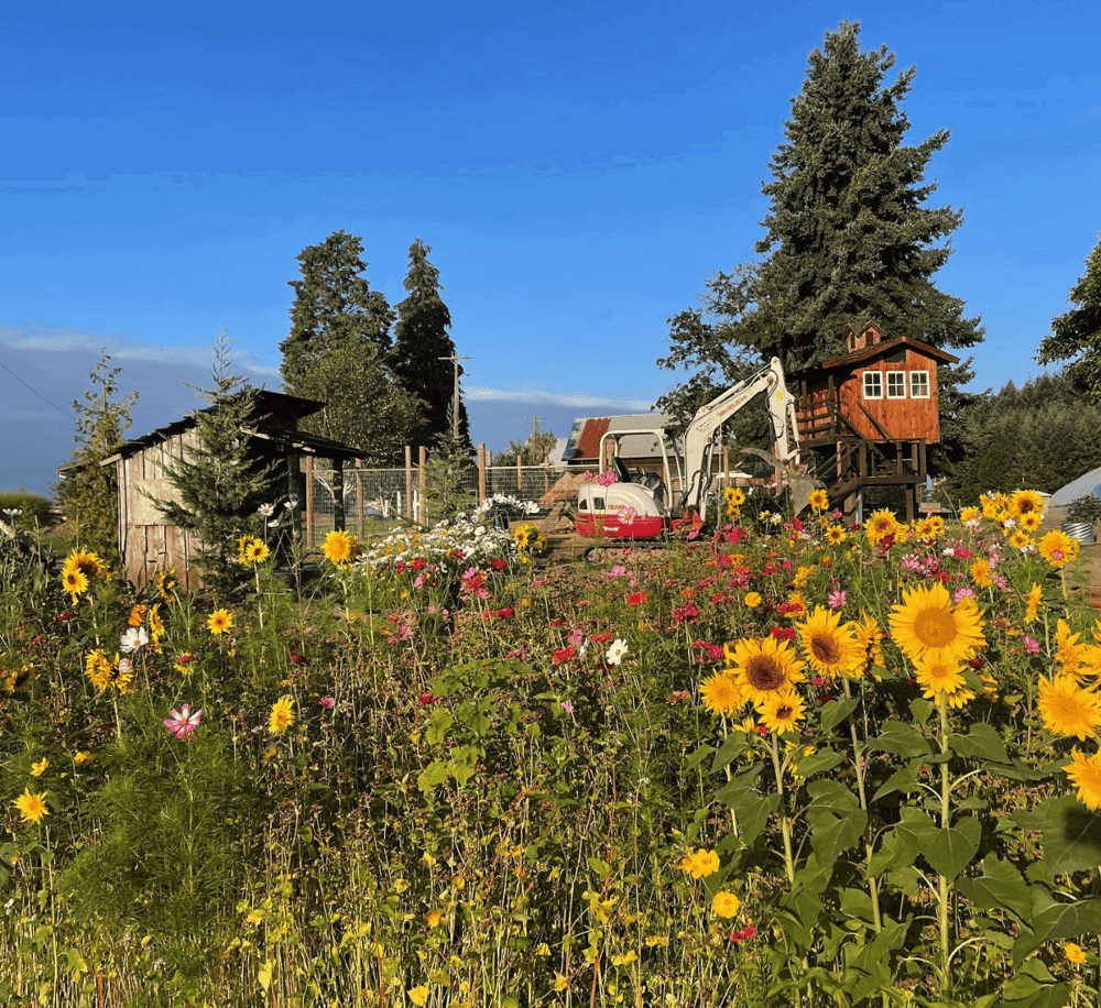 Colorful garden with sunflowers and a wooden treehouse in a lush outdoor setting.