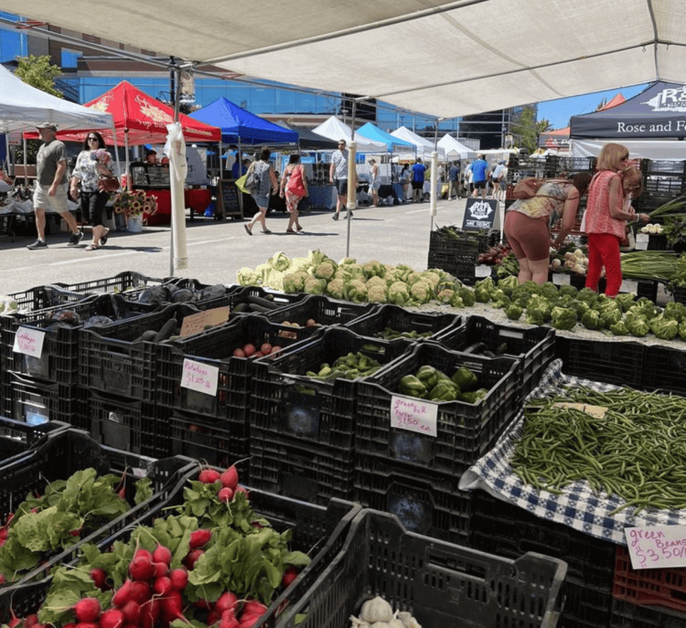 Fresh organic vegetables at outdoor farmers market for healthy eating.