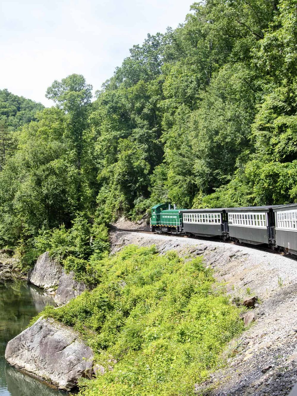 Vintage train traveling through lush green forest along riverside track.