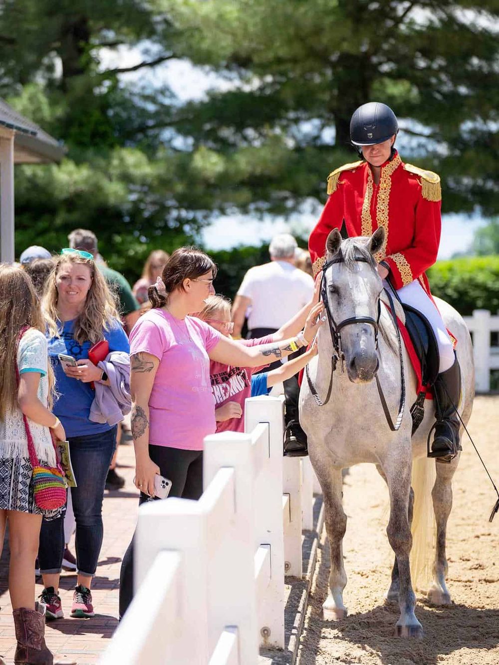 Elegant mounted soldier interacting with visitors at a historic or cultural public event, emphasizing tradition and community engagement.