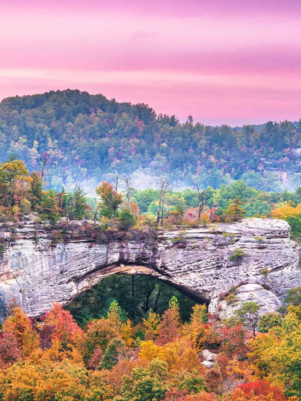 Colorful natural landscape with a stone arch bridge, autumn foliage, and a pink sky in fall scenery.