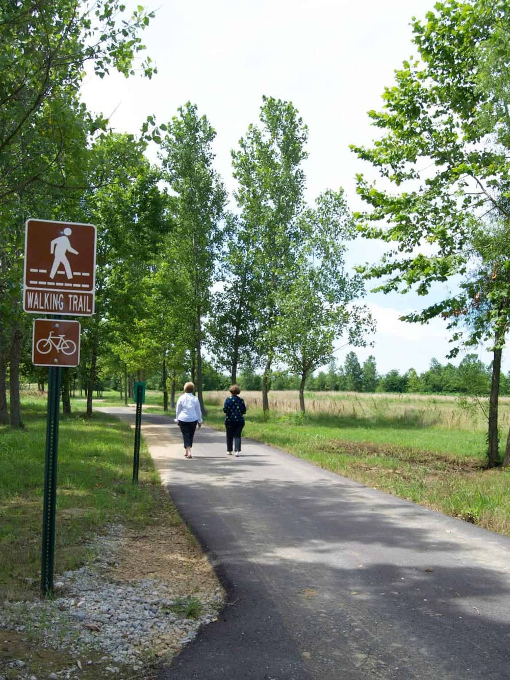 Scenic walking trail with two women enjoying nature in a lush, green park setting. Perfect for outdoor adventures and fitness.