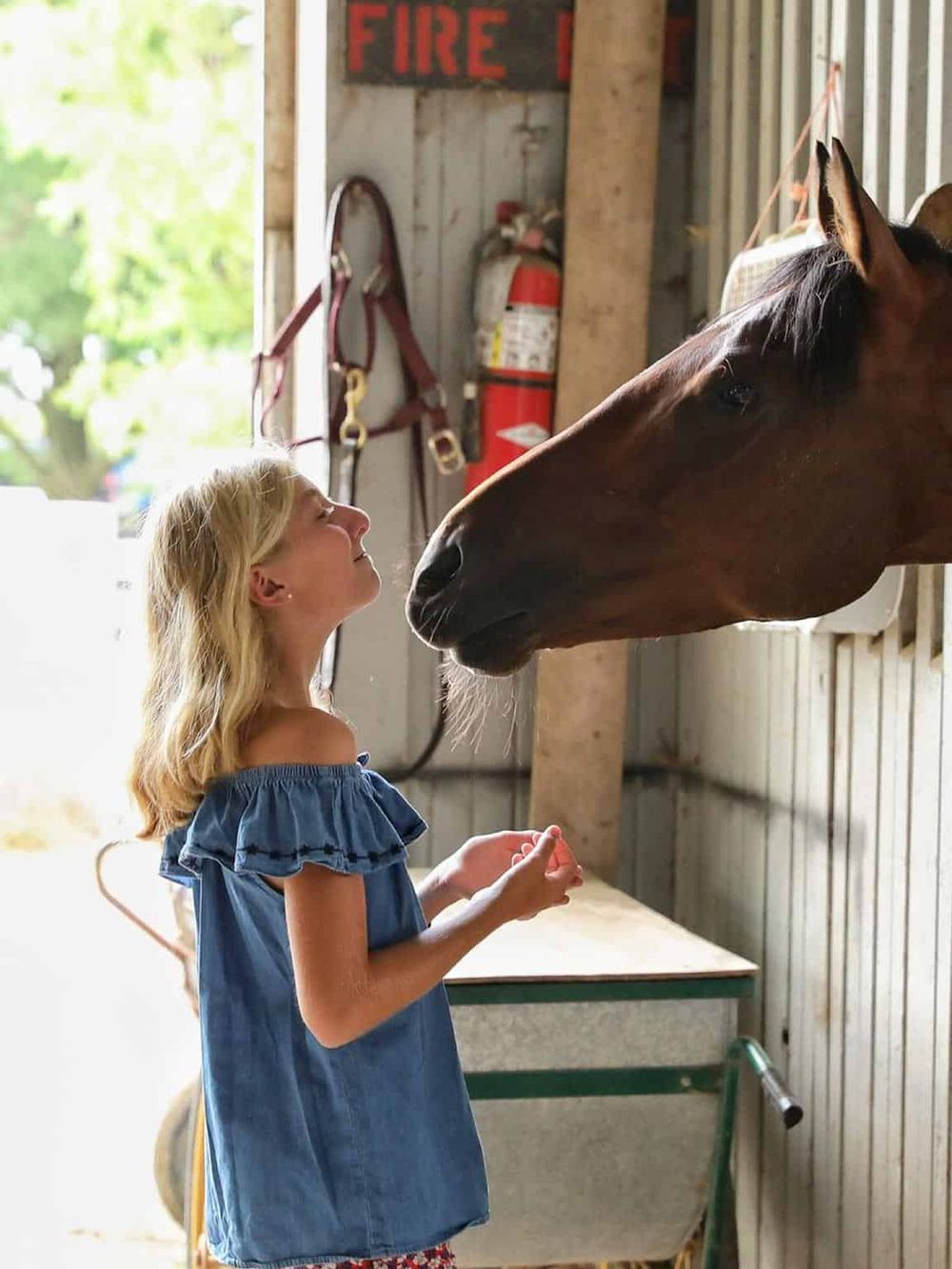 Friendly horse encounter at a rustic stable, perfect for family horse riding adventures and outdoor activities.