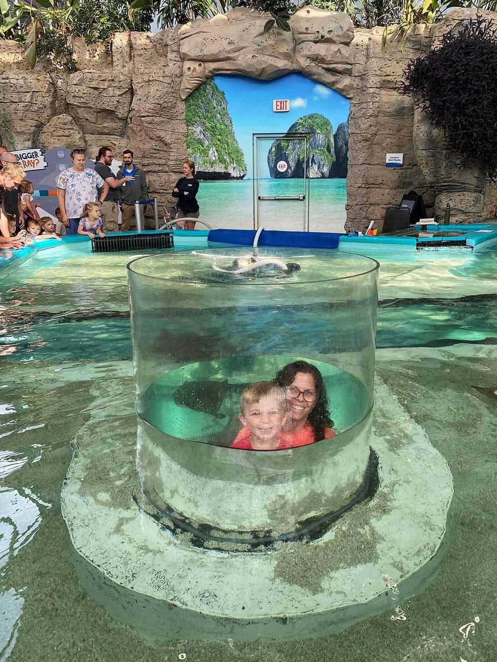 Vast indoor water park with pool and themed tropical backdrop, family enjoying water activities.