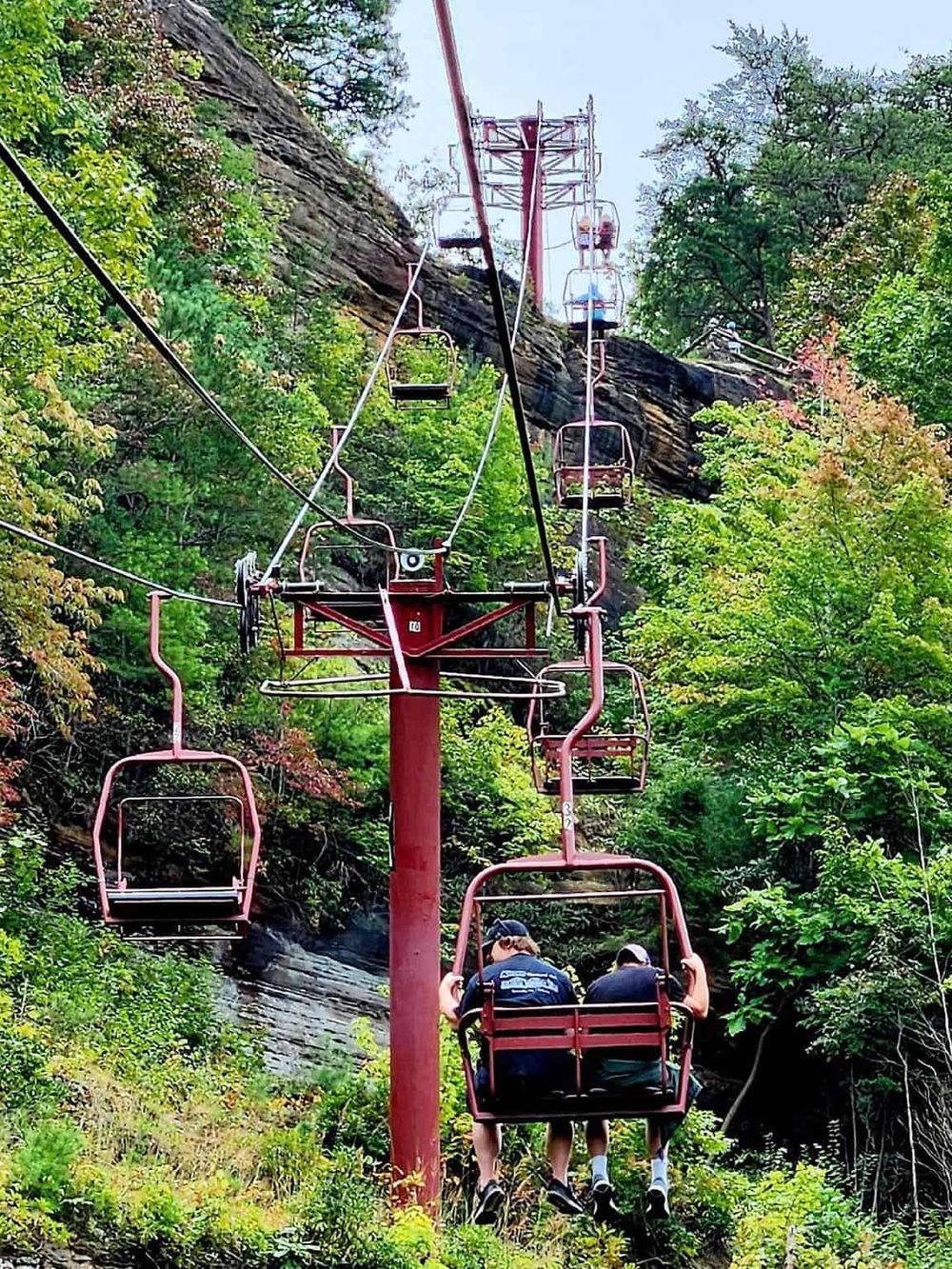 Scenic chairlift ride through lush green forest at Quest for Directions adventure park.