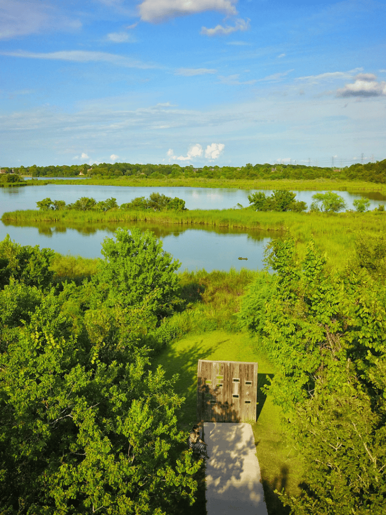 Tranquil lake surrounded by lush greenery, ideal for outdoor adventures and nature exploration.