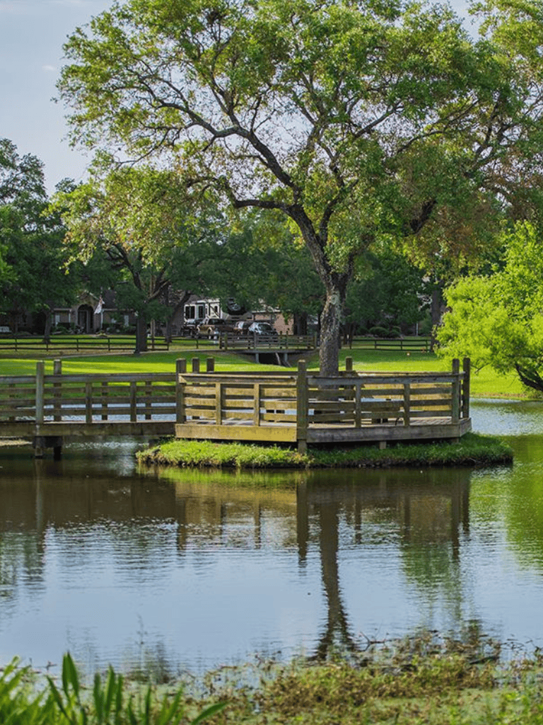 Serene park with a wooden dock, lush trees, and a calm pond, ideal for relaxation and recreational activities.