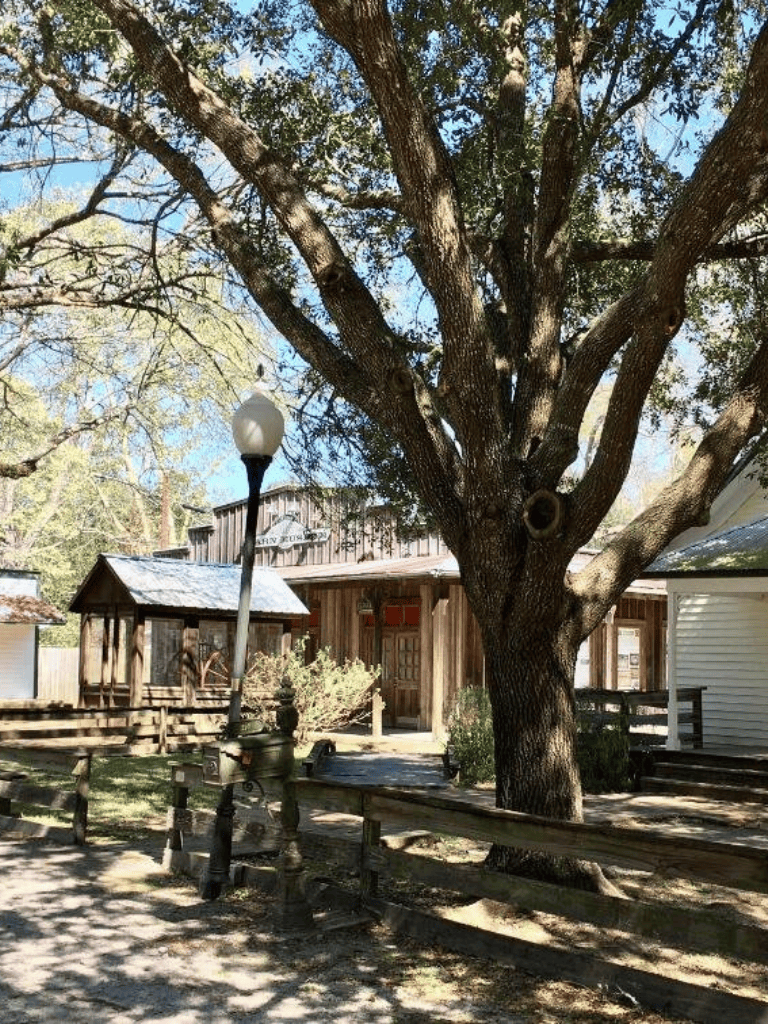 Old-fashioned wooden buildings in a historic district surrounded by trees and a vintage lamppost.