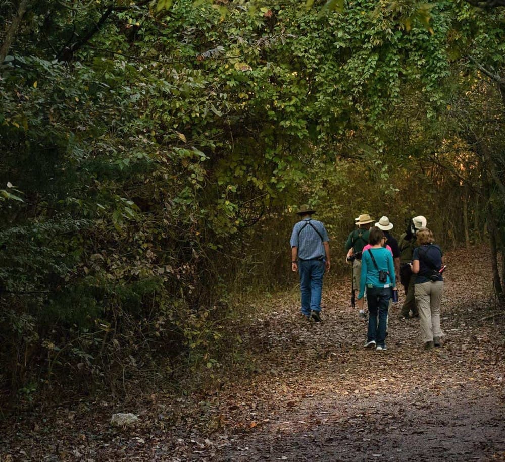 1. People hiking on wooded trail, exploring nature and outdoor adventure.