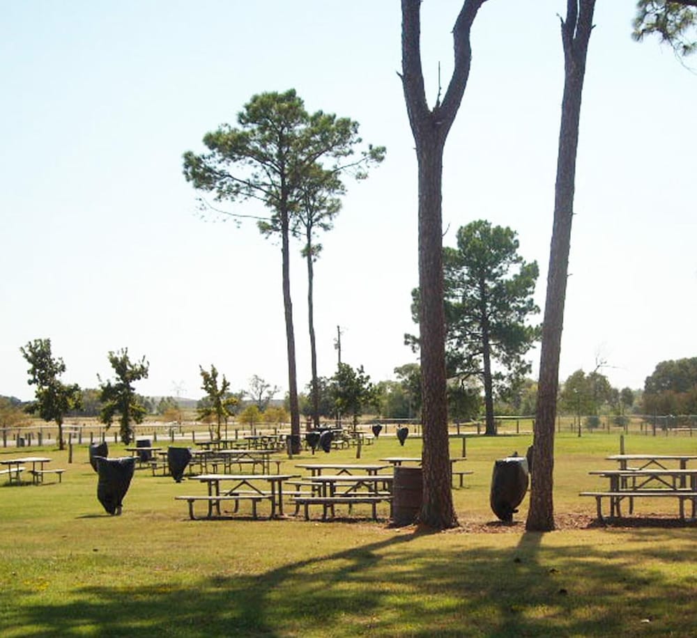 Rustic outdoor park with picnic tables, tall pine trees, and trash bins, ideal for outdoor gatherings and family outings.