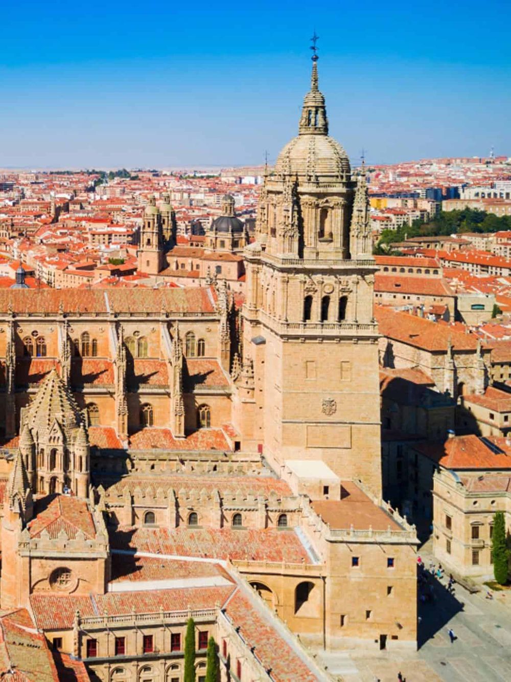 Historic cathedral tower overlooking Seville rooftops, famous for travel and sightseeing.