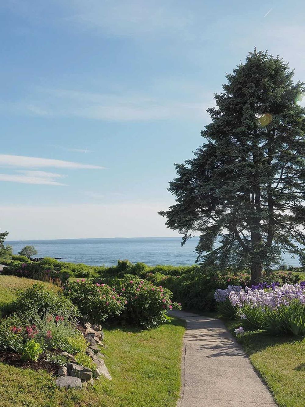 Serene coastal landscape with a pathway, lush greenery, colorful flowers, and ocean view, perfect for travel and outdoor exploration.