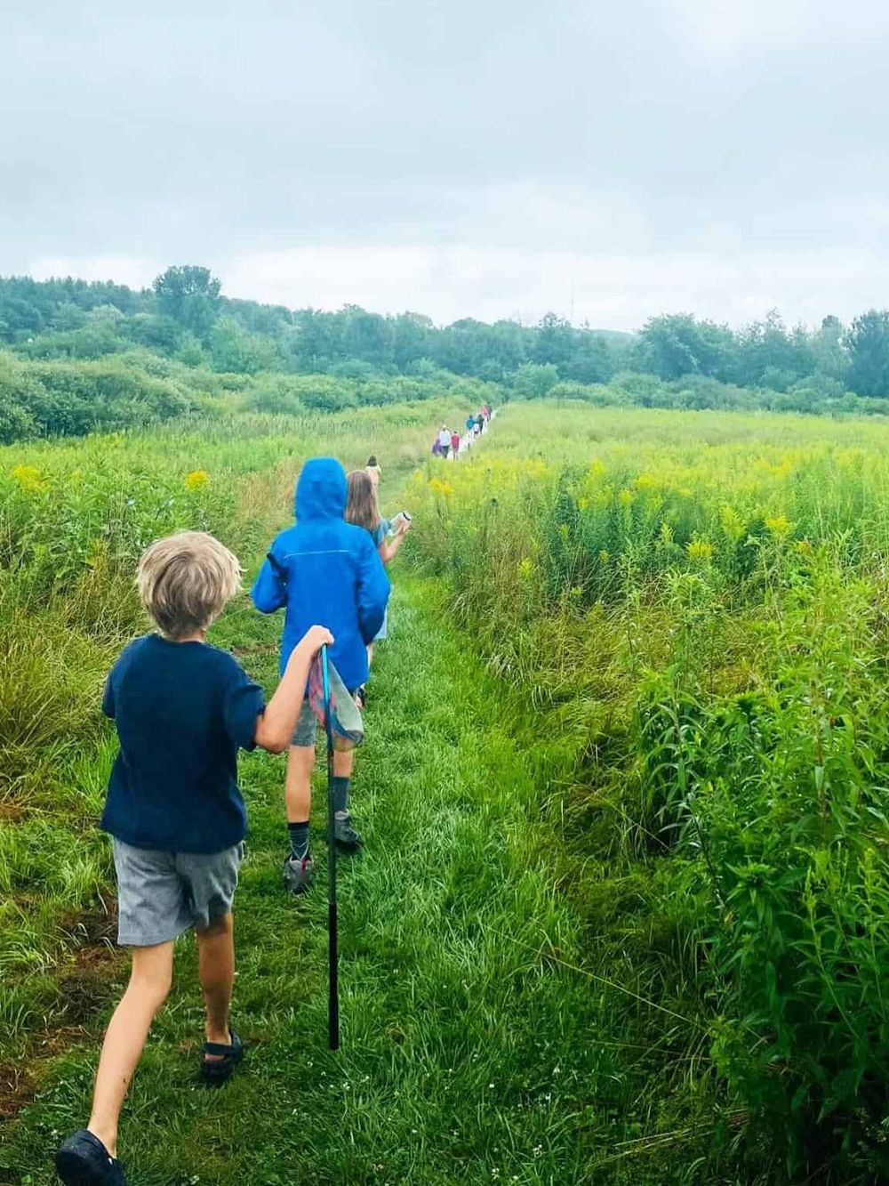 Hiking trail through lush green fields with families and children, outdoor adventure with QuestForDirections.