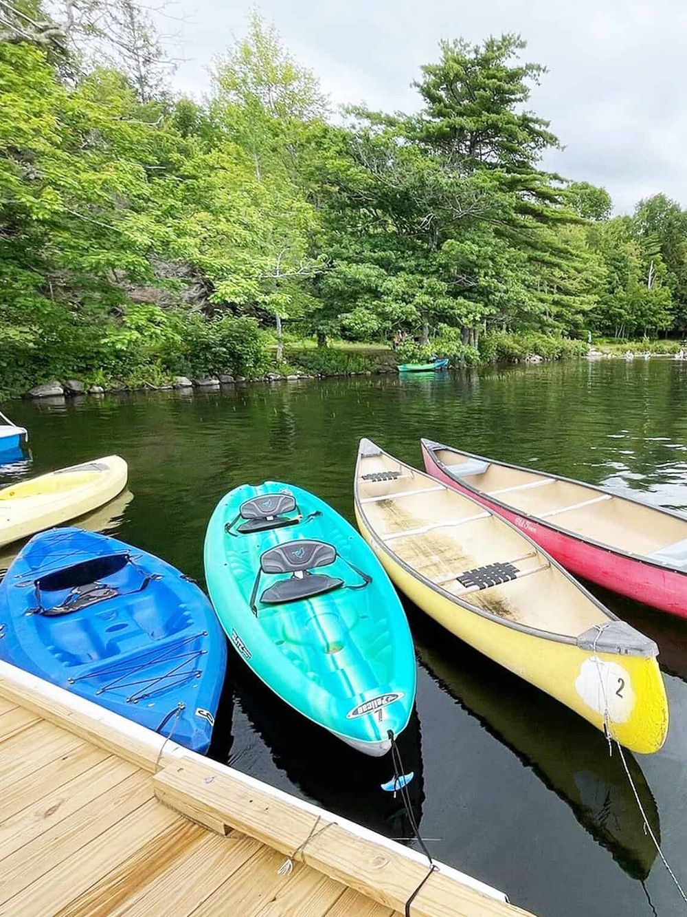 Brightly colored kayaks docked by a lakeside, perfect for outdoor water adventure and exploration.
