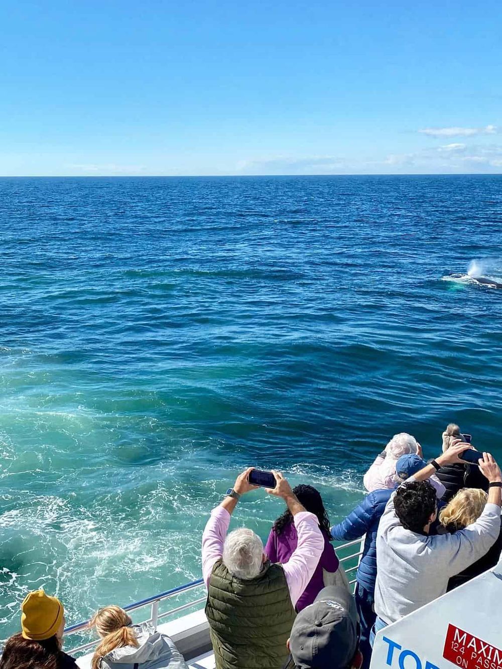Vibrant ocean view with tourists capturing scenic moments on a boat cruise, emphasizing marine exploration and travel adventure.