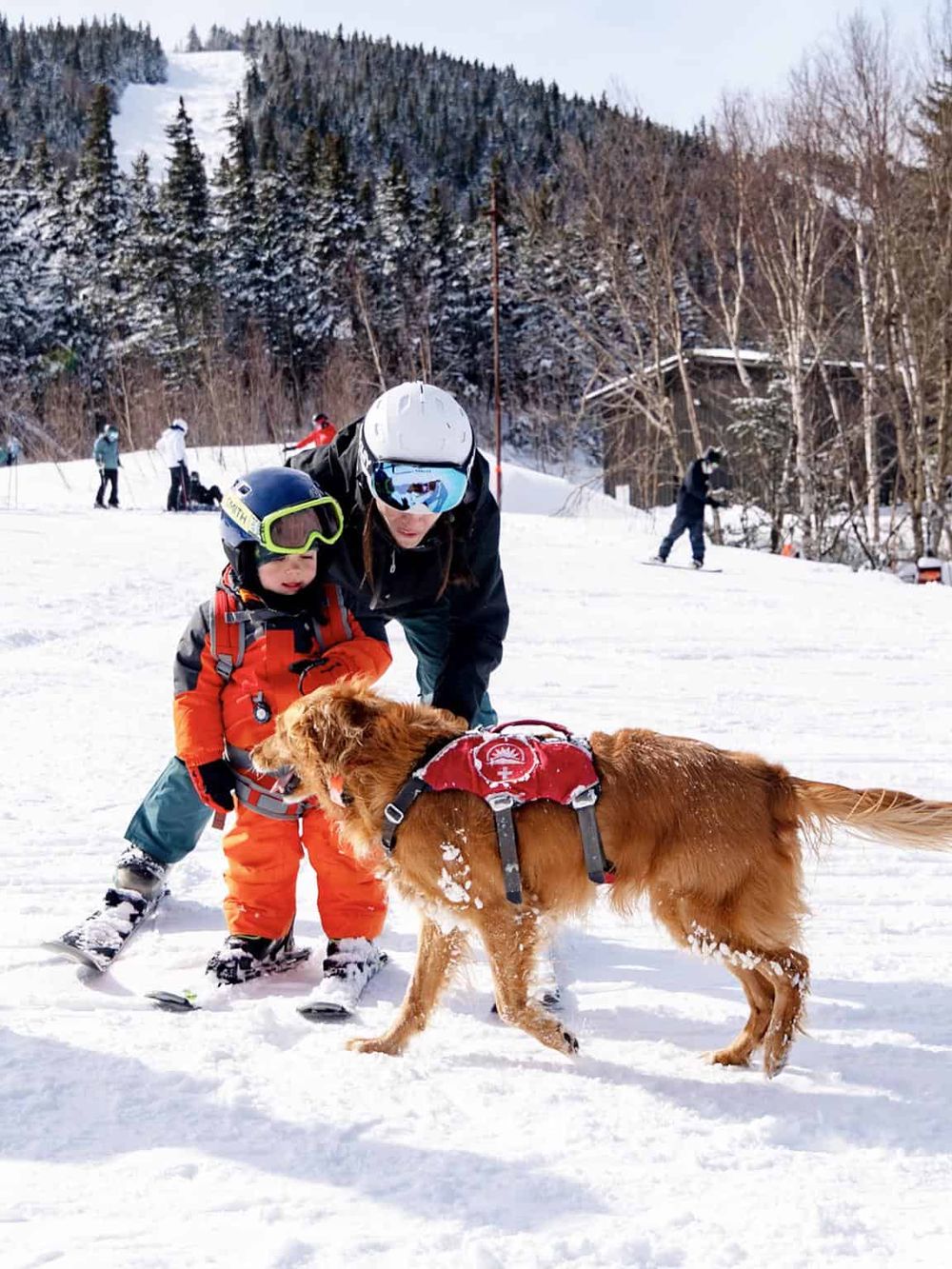 Snowy mountain skiing lessons with a dog, kids, and instructor at QuestForDirections.