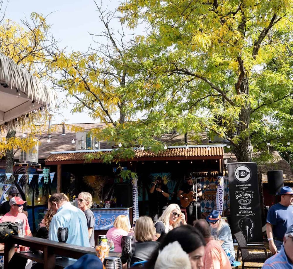 Vibrant outdoor music festival with live band, lush trees, and diverse crowd enjoying summer entertainment.