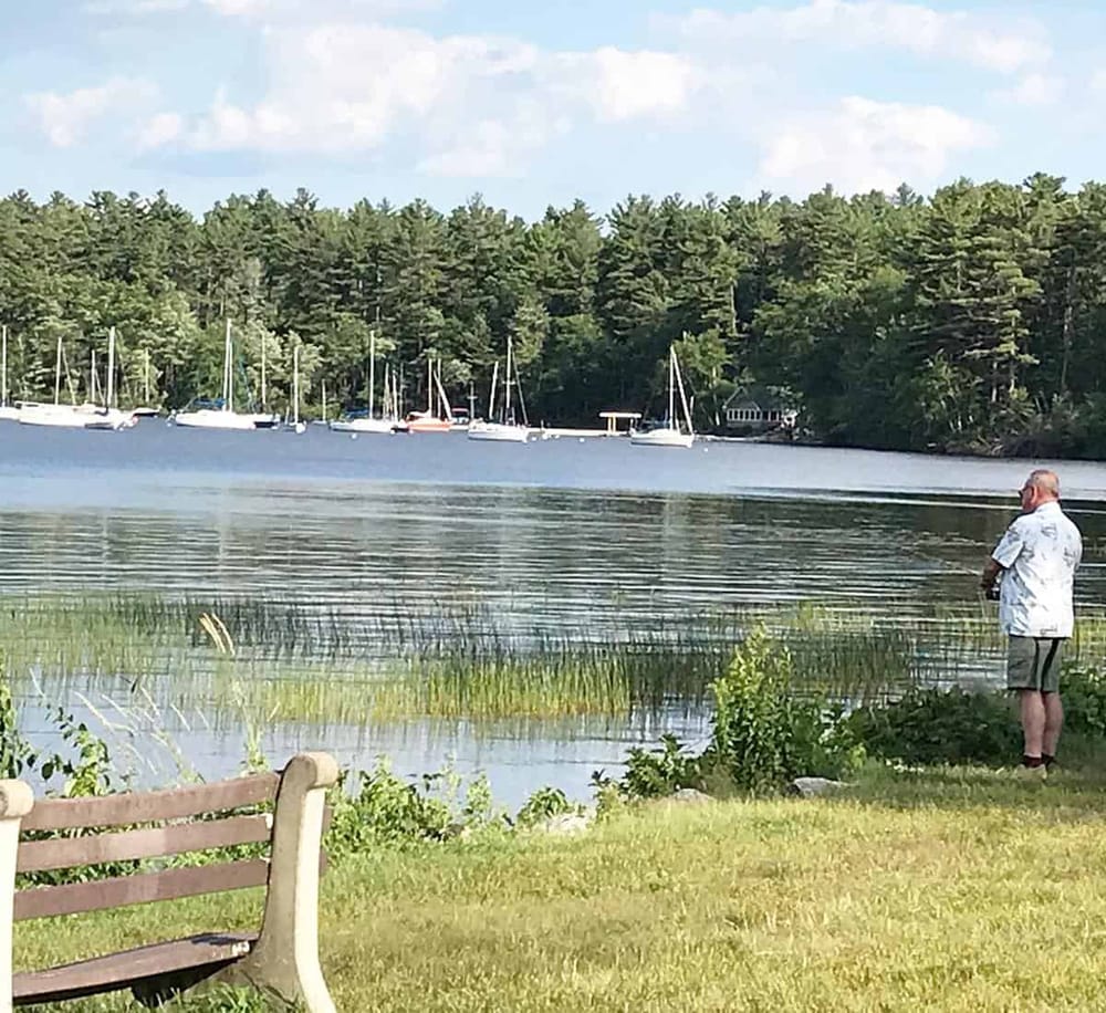 Serene lakeside scene with sailboats, lush trees, and a man fishing on the shore, perfect for outdoor recreation.