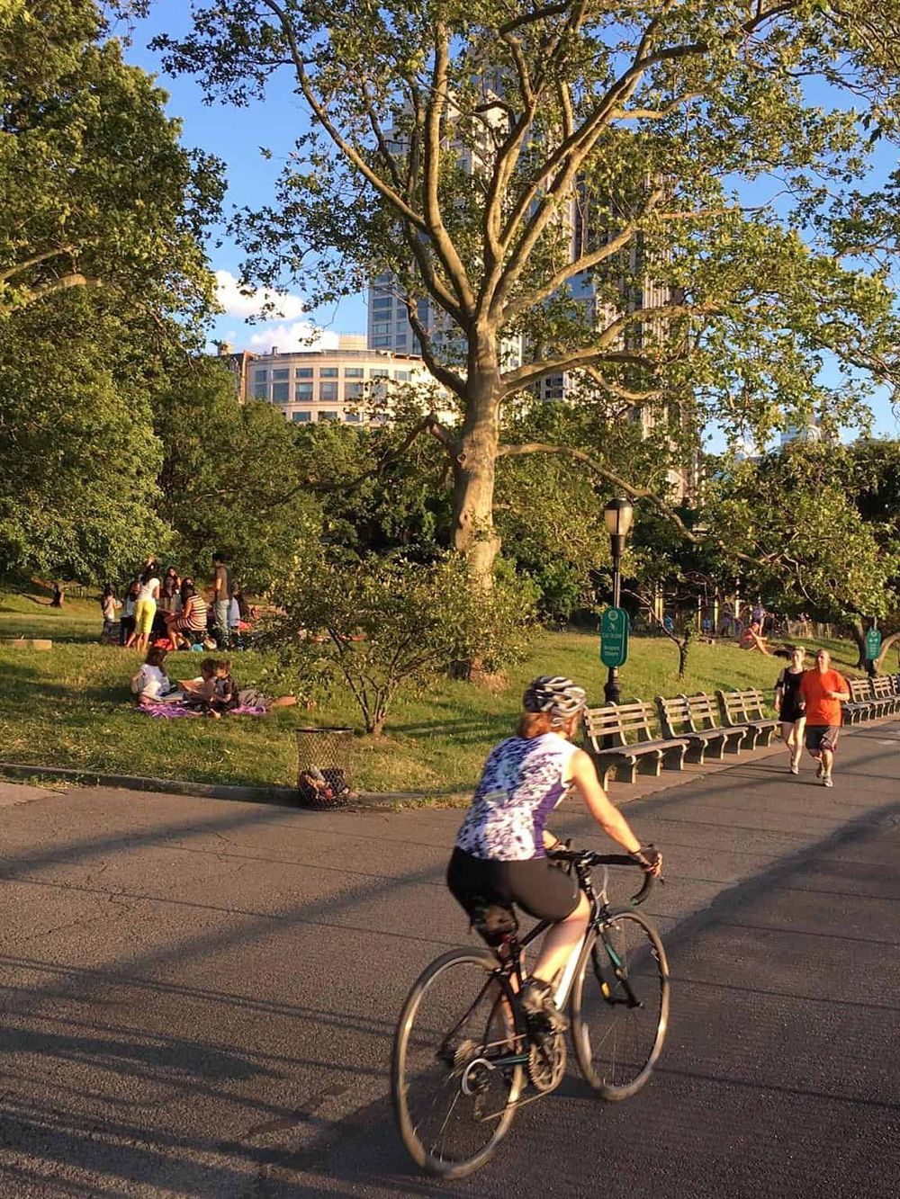 Bike rider enjoying urban park scenery with tall trees and city skyline in the background.